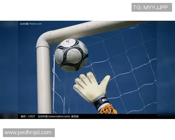 足球耙布的魅力与技巧解析如何提升你的足球技术水平与场上表现