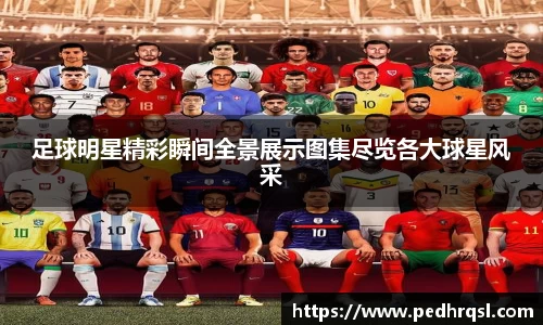 足球明星精彩瞬间全景展示图集尽览各大球星风采